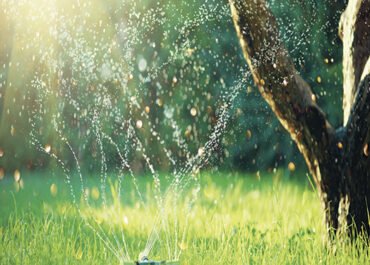 shutterstock_1701997861-sustentabilidade